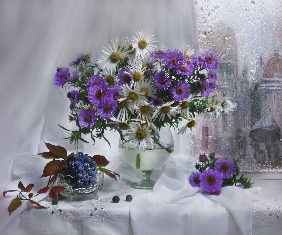 still life, натюрморт,осень, октябрь, хризантемы, астры, цветы, фото натюрморт,  стихи, виноград, Колова Валентина
