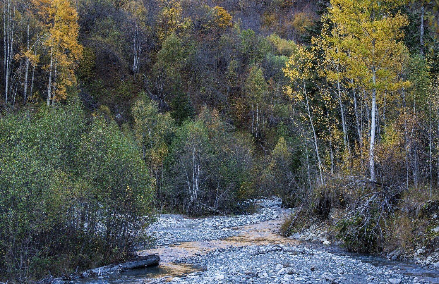 , Дмитрий Новоселов