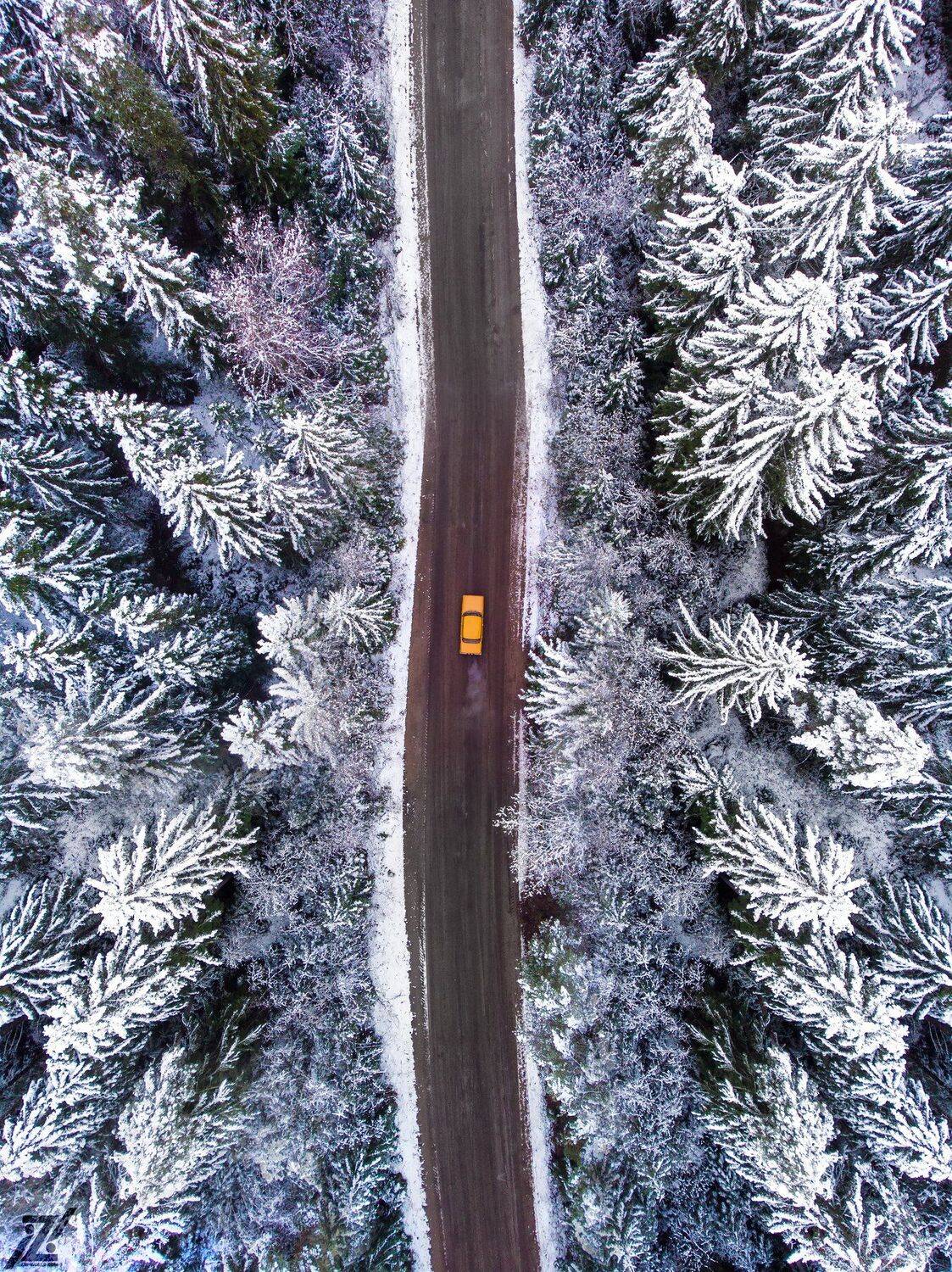 Город,абстрактно,креативно,улица,ночная улица,ночь,ночное креативное,креатив,заброшка,zapworld,завод,шар,индастриал,фото,Беларусь,новополоцк,Пейзаж, природный, небо, лес, краски, берег, вода, водоем, пруд, озеро, гладь, камыш, тростник, трава, отражение, , Sergey Shevtsov