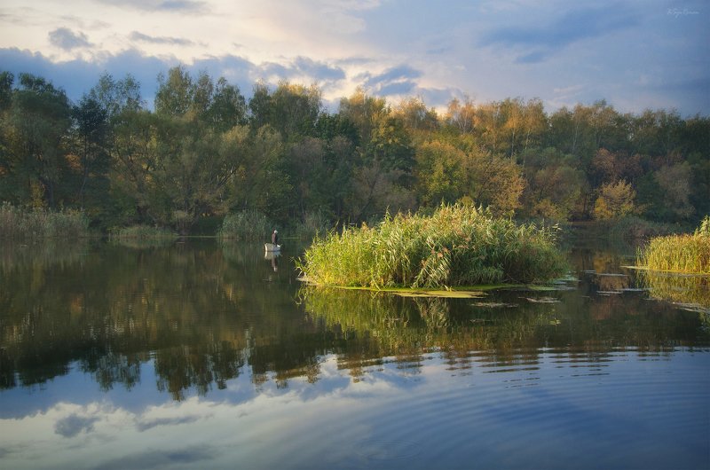 осень,утро,берег,река,рыбак,лодка О рыбалке ... фото превью