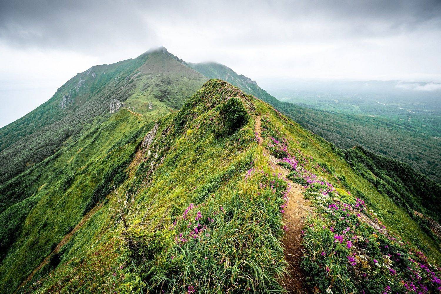 , Денис Винарь