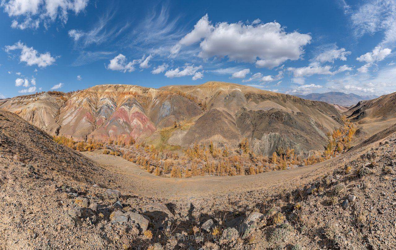 , Константин Дэм