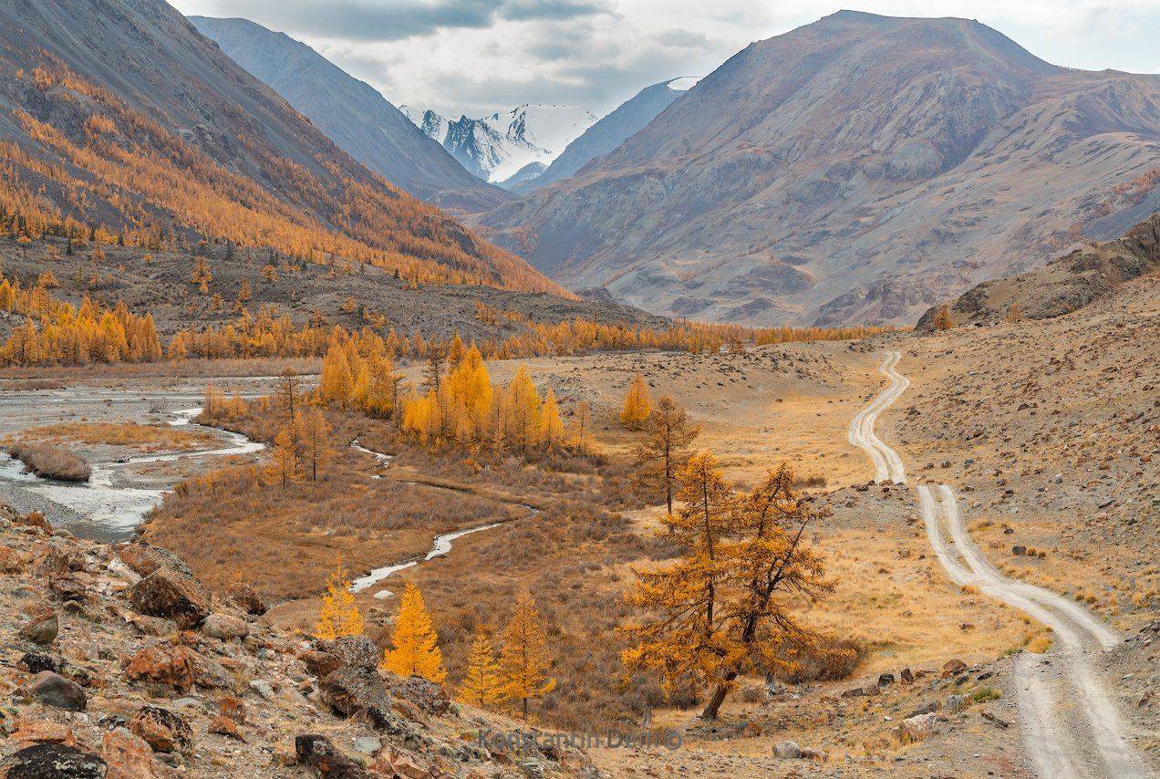 , Константин Дэм