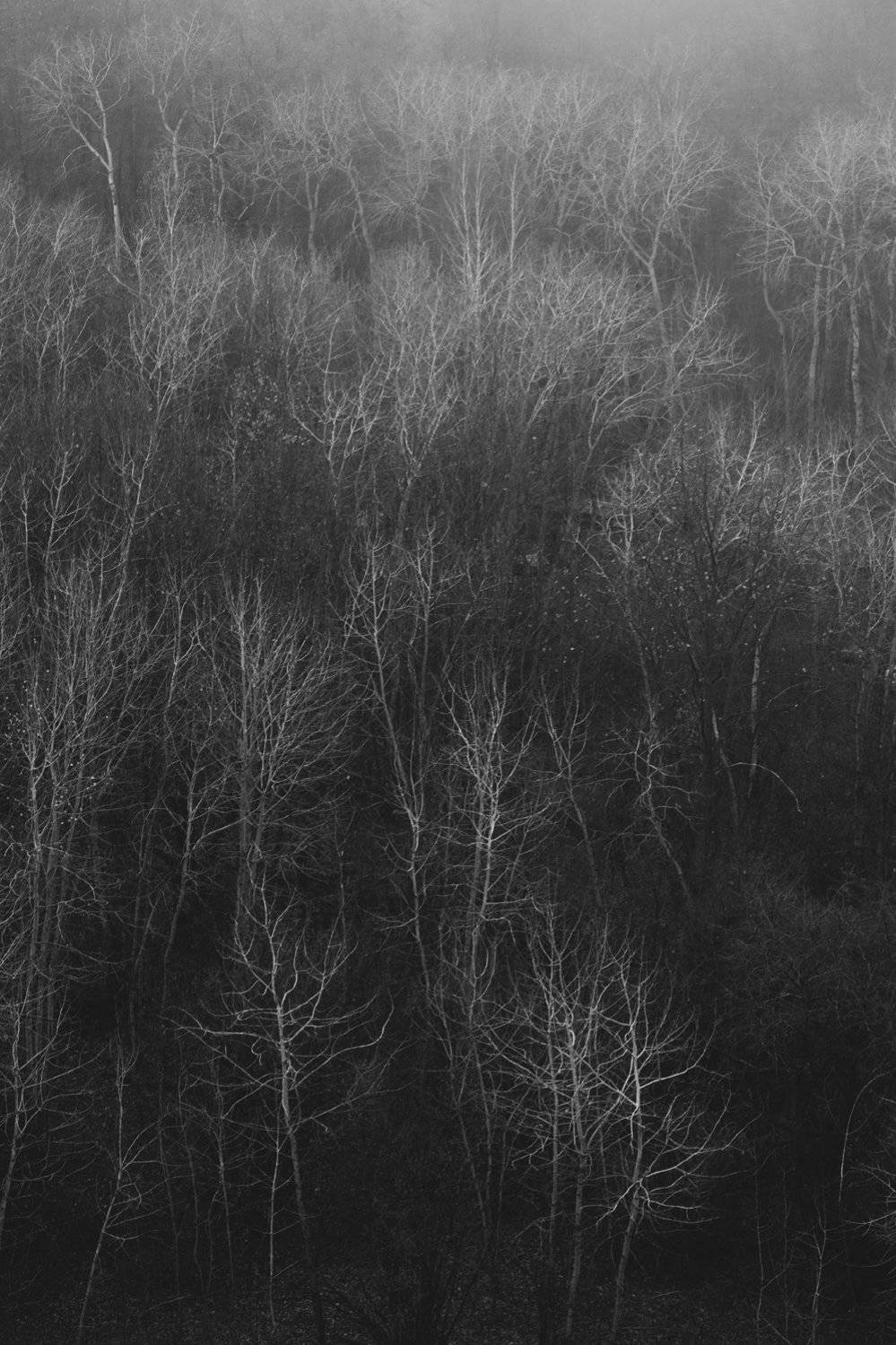 , Роман Рыжков