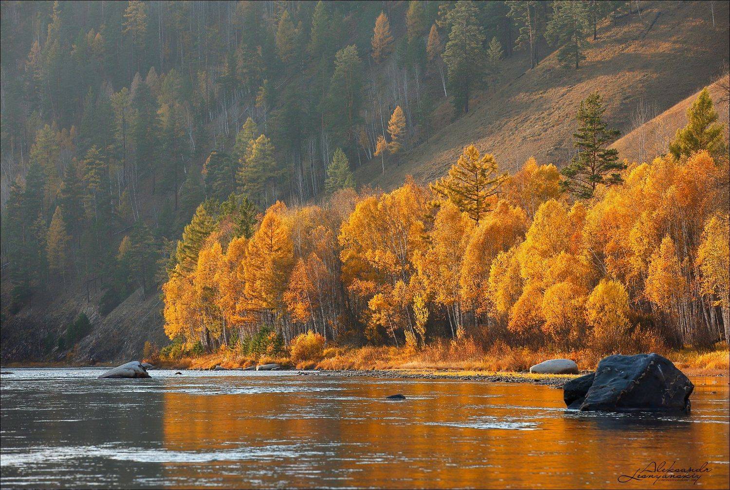забайкальский край, Александр Леснянский