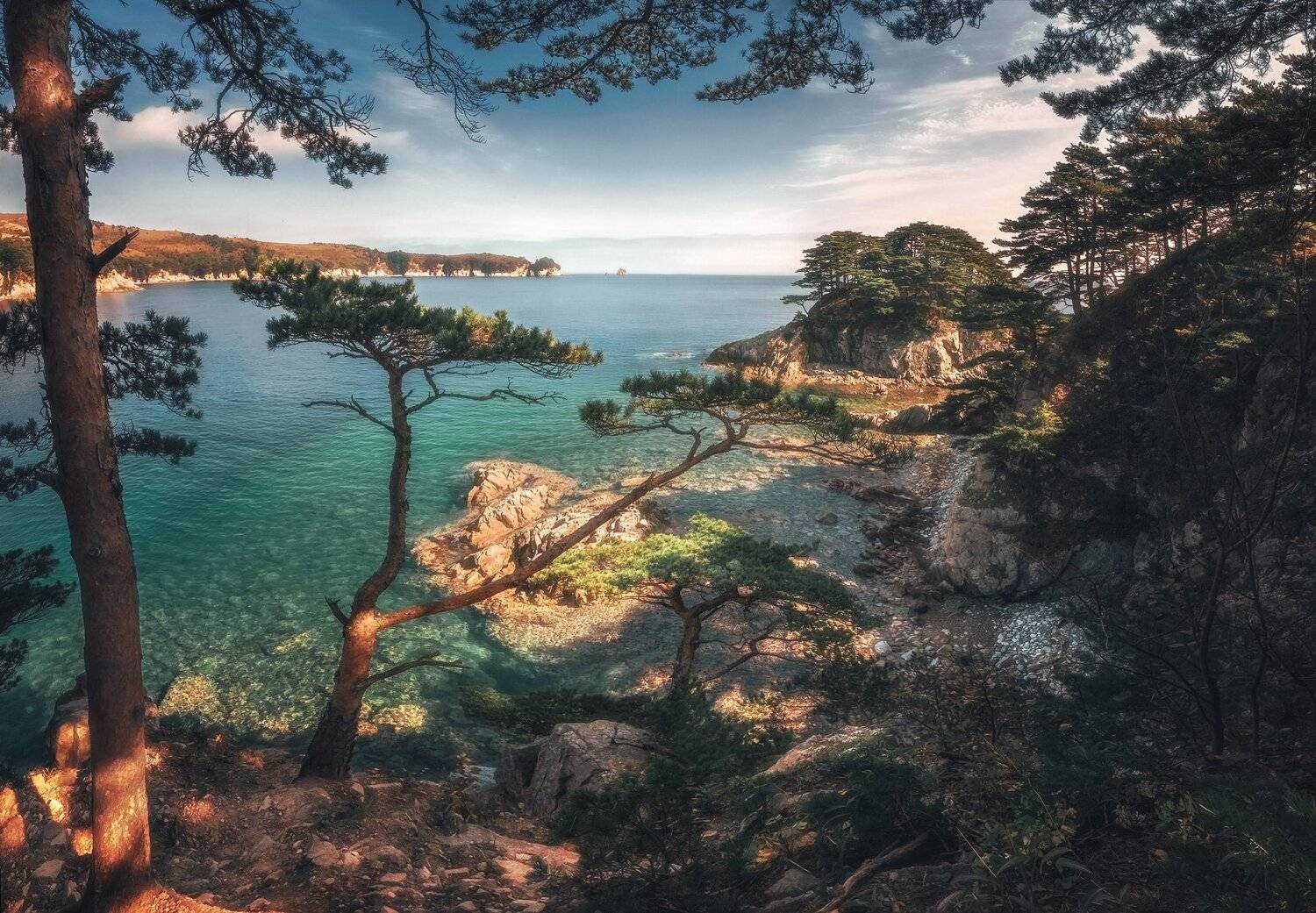 море, скалы, сосны, Андрей Кровлин