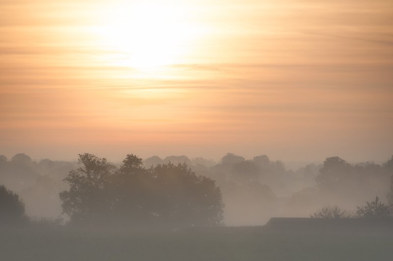 sunrise; fog;sun;light;sunligt Automnal sunrise in Normandy фото превью