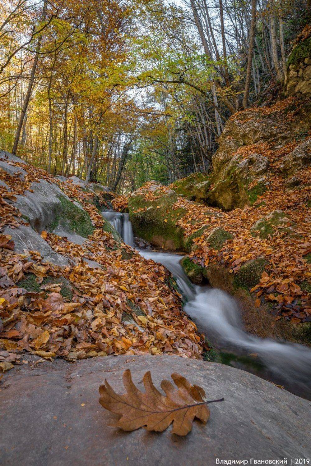 , Гвановский Владимир
