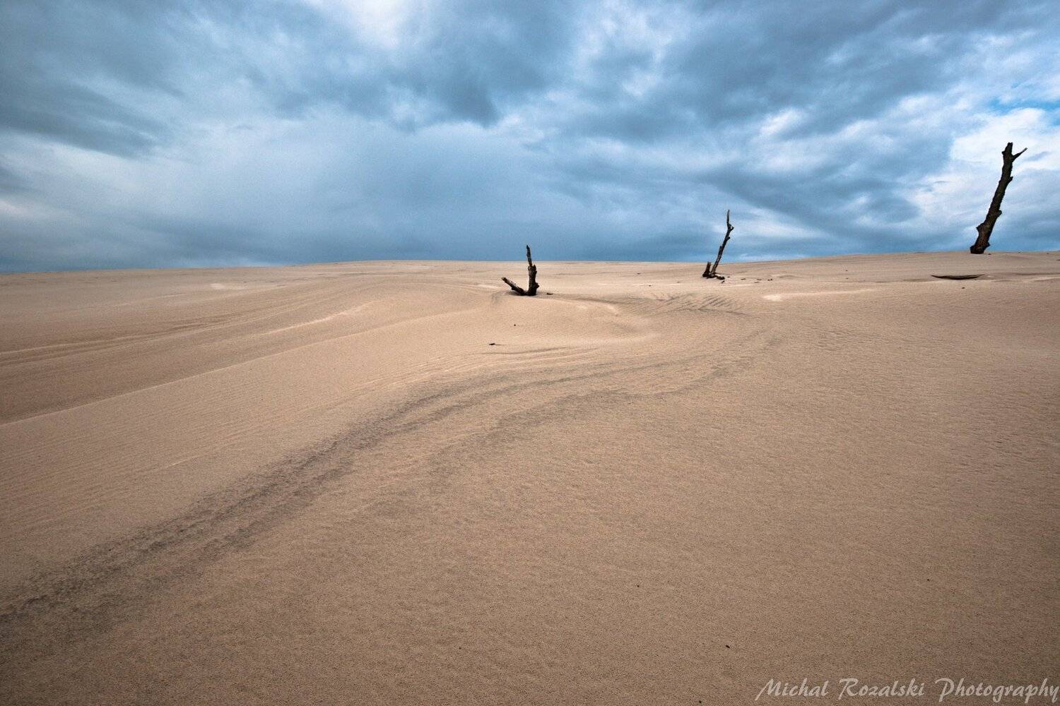beach, ,sand, ,dunes, ,summer, ,seaside, ,sky, ,clouds, ,landscape, ,sticks, ,, Michal Rozalski