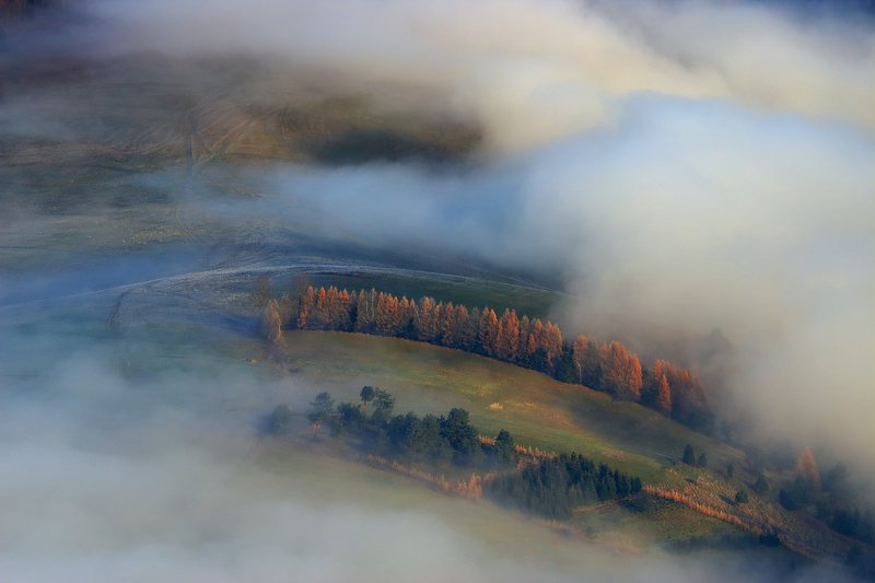 pieniny, mist, fog, trees, morning, sunrise, Curves фото превью