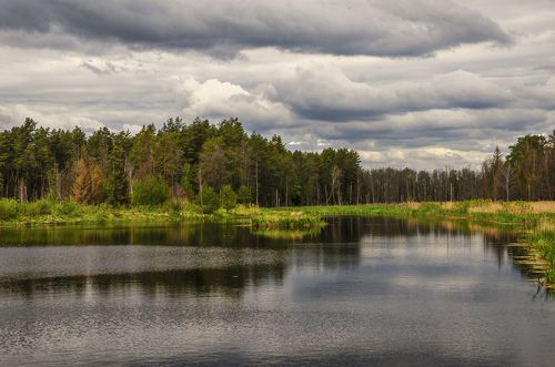 Заповедник 