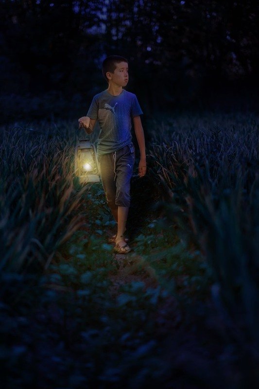 ночь, фонарь Темной ночью, огородом фото превью