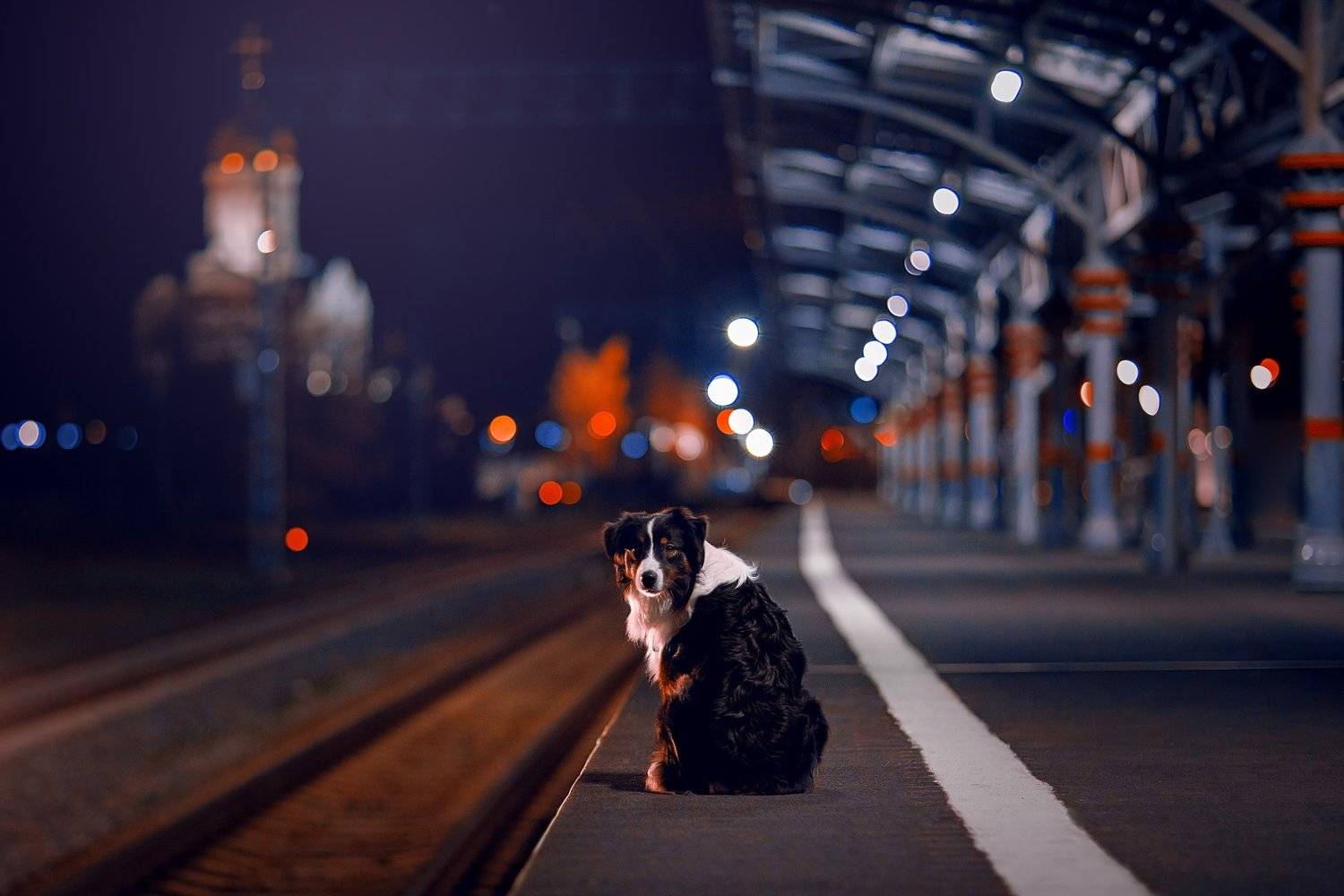 , Светлана Писарева