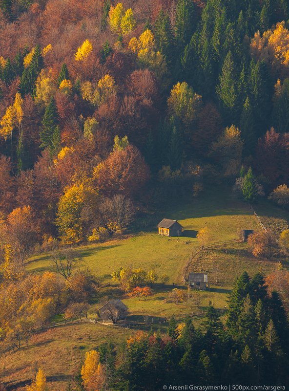 hut, carpathians, carpathian mountains, pasture, countryside, picturesque, mood, tranquil, houses, wooden, rural, mountains, foliage, wonderland, land, meadow, field, scenic, tourism, season, house, autumn, mountain, landscape, fall, background, beautiful Village Houses and autumn foliage trees in the mountains. Meadow and forest in the carpathian mountains фото превью