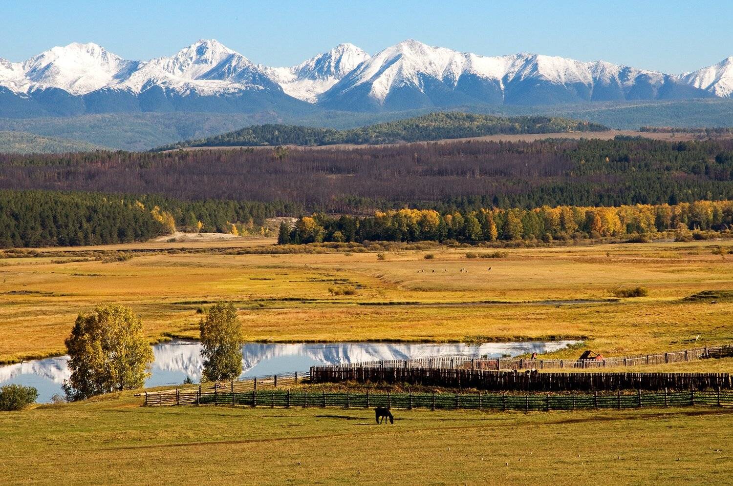 , Борис Леваков