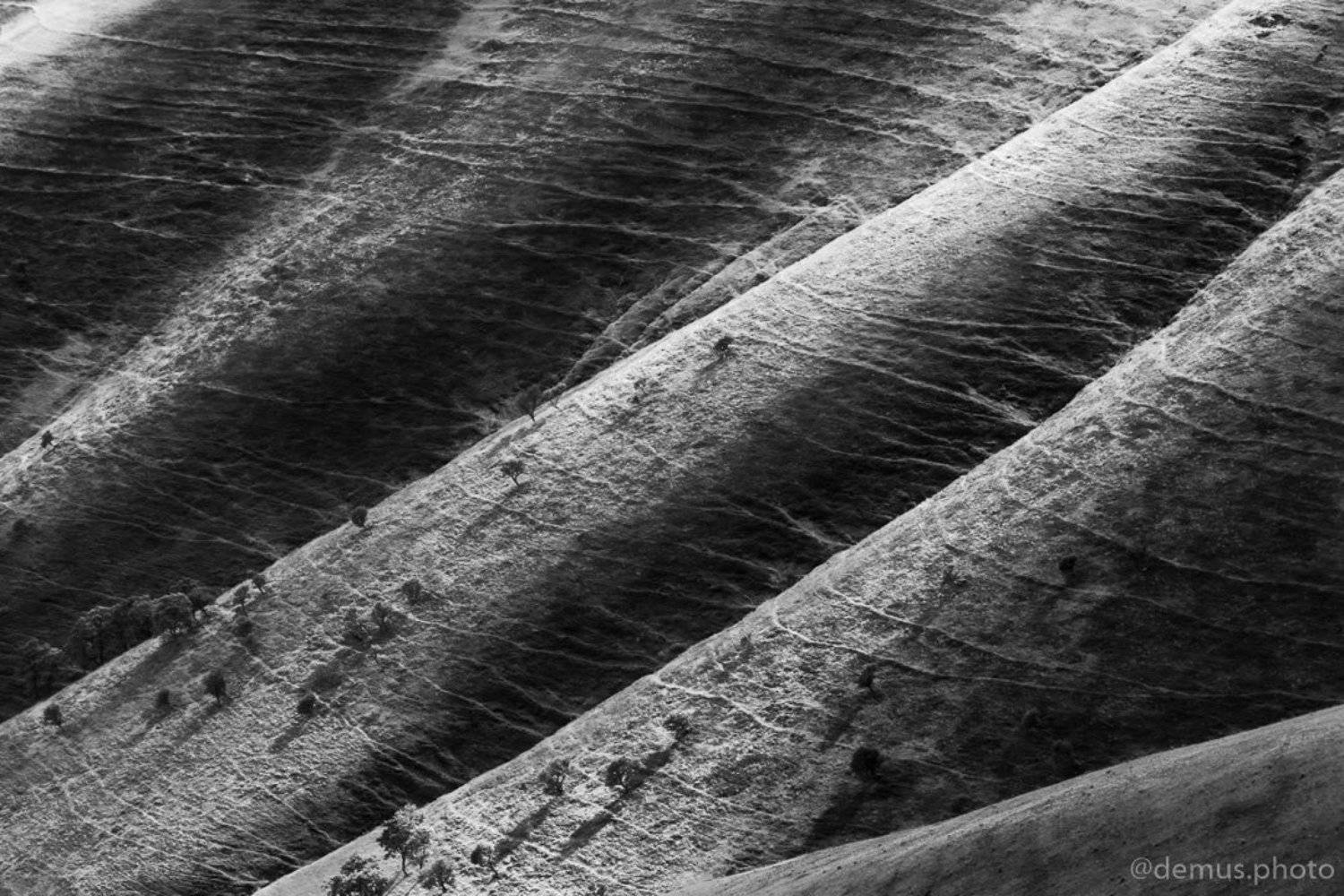 , Виталий Демус