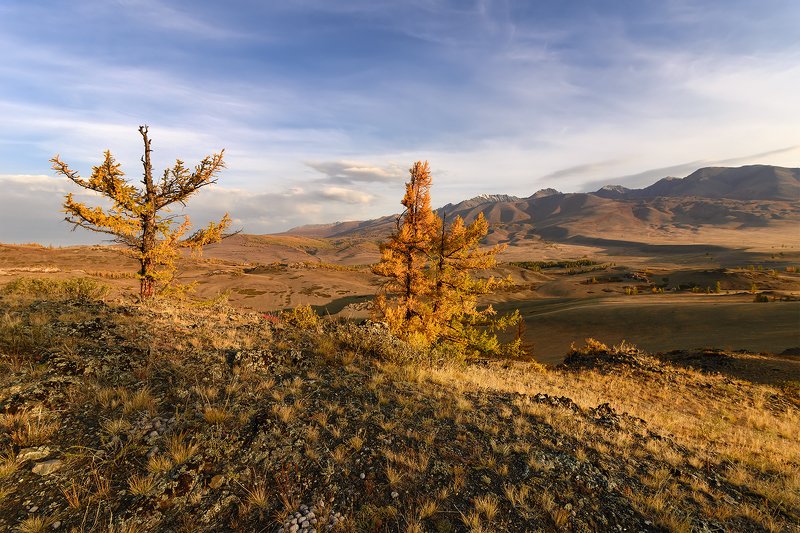 Утро в Курае... фото превью