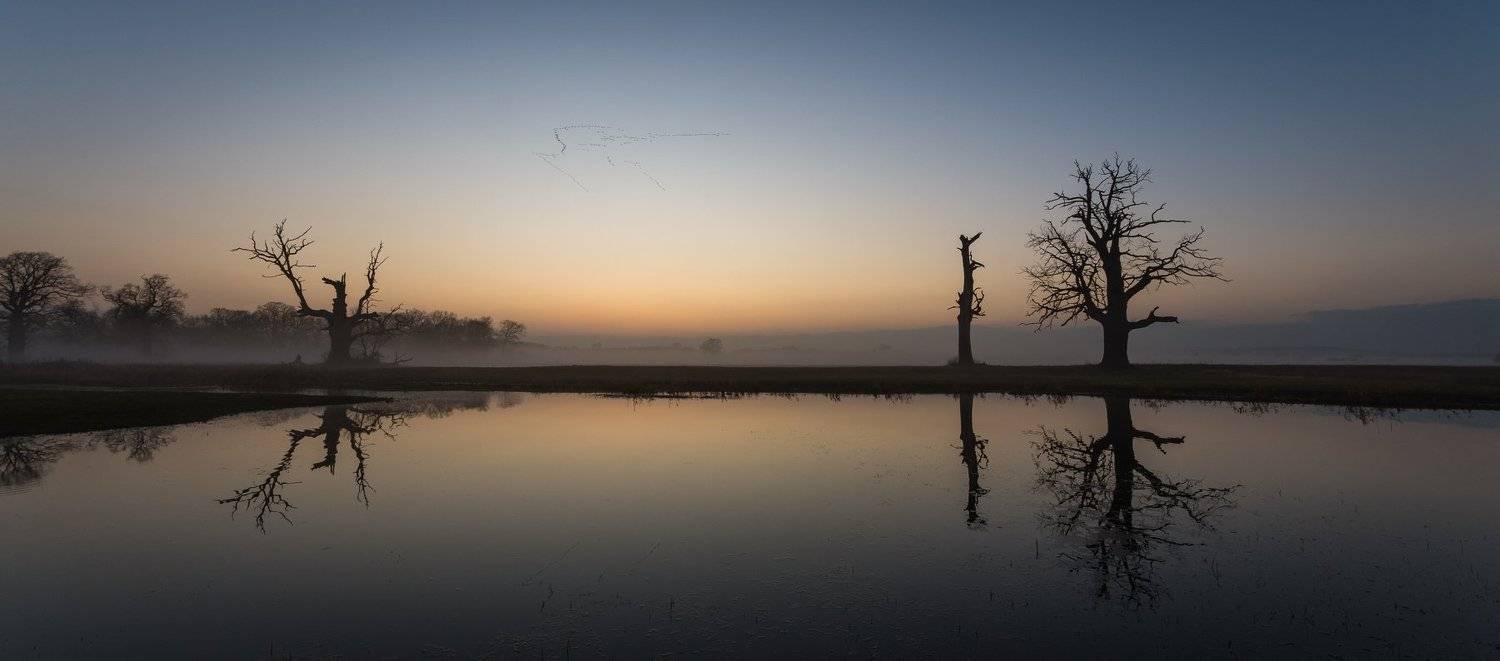 , Maciej Werbliński