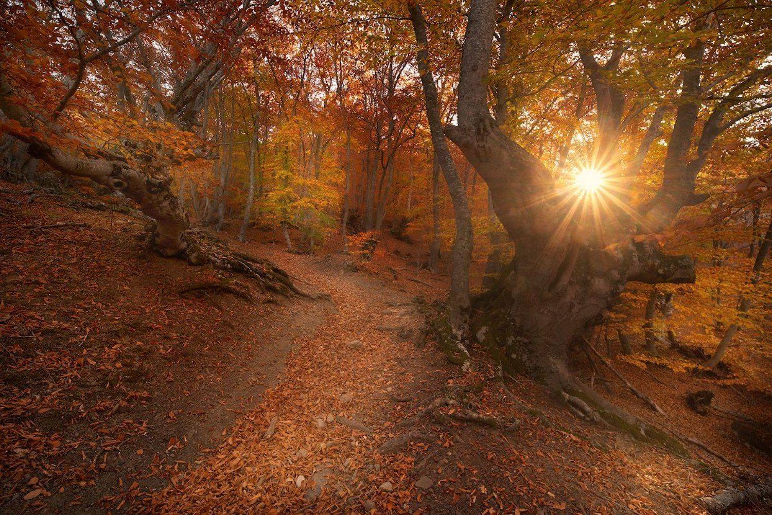 , Романский Владимир (NikonZoom)