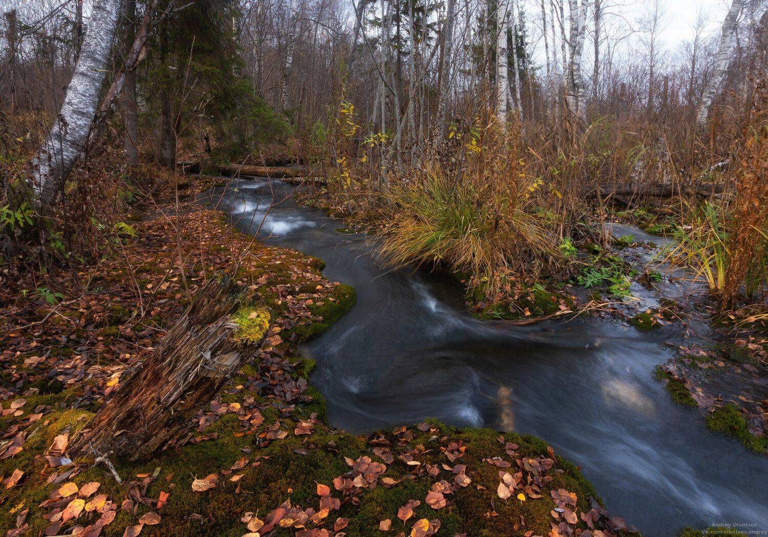 солнце, россия, рассвет, природа, подмосковье, погода, пейзажи, пейзаж, отражение, наукоград, красота, дубна, вода, весна, weather, water, spring, russia, reflection, naukograd, nature, moscow, landscape, dawn, canon, dubna, beauty, Андрей Олонцев