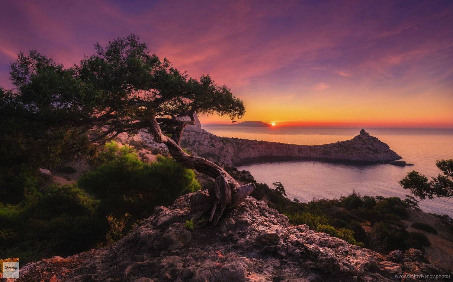 море, рассвет, крым, пейзаж, горы, скалы, сосна станкевича. crimea, sea, sunrise, landscape, Дмитрий Иванов