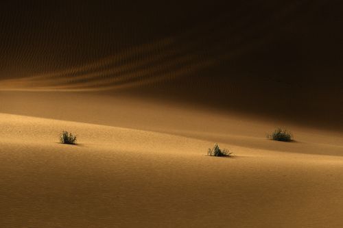 Desert