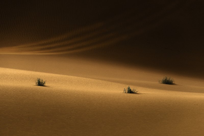 desert Desert фото превью
