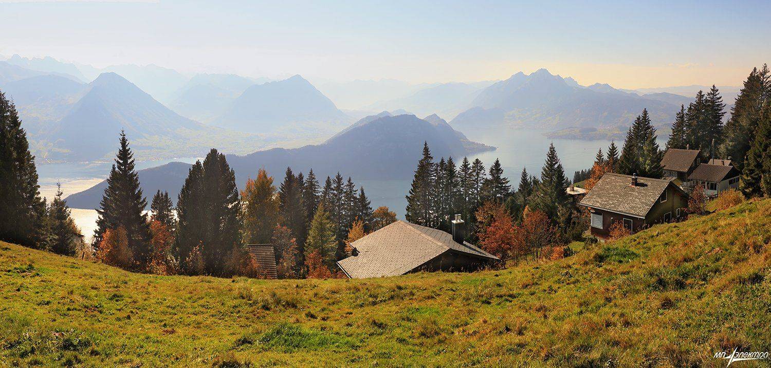 swiss, Матвеев Николай