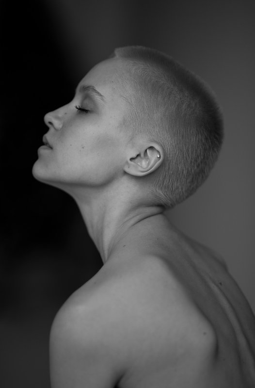 Phoenix фото превью