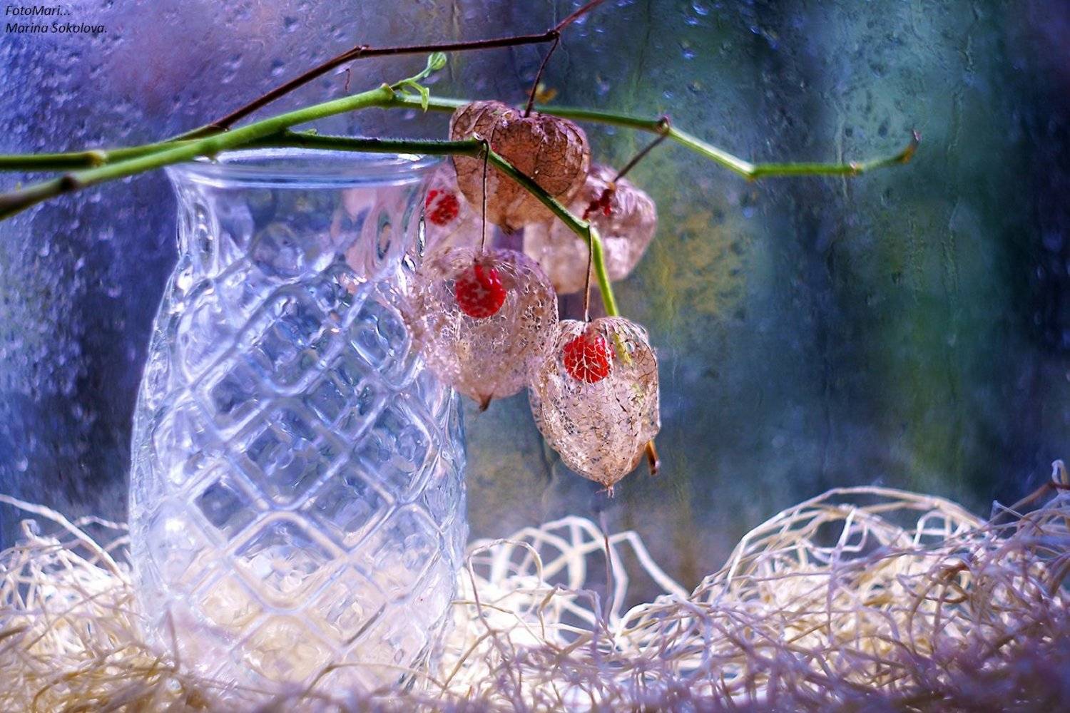 , Марина Соколова