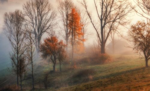 Рай в шалаше