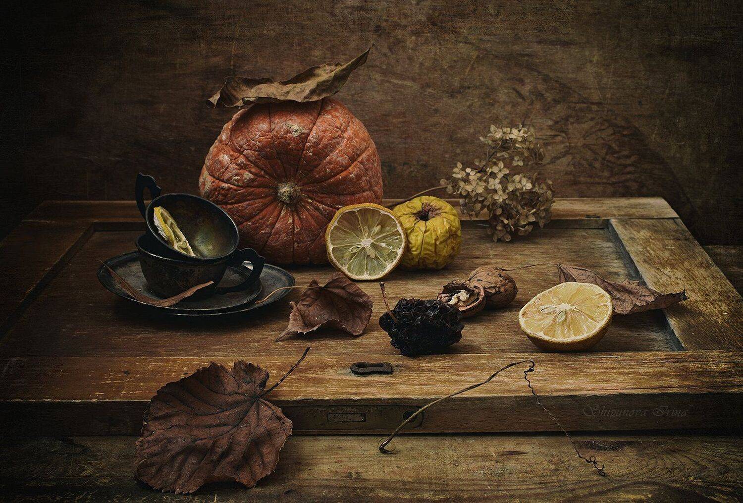 , Шипунова Ирина