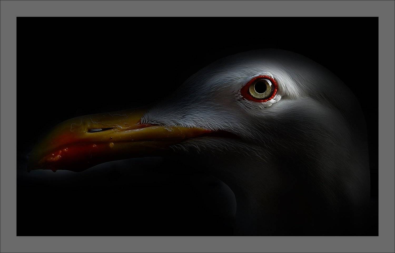 , Александр Леснянский