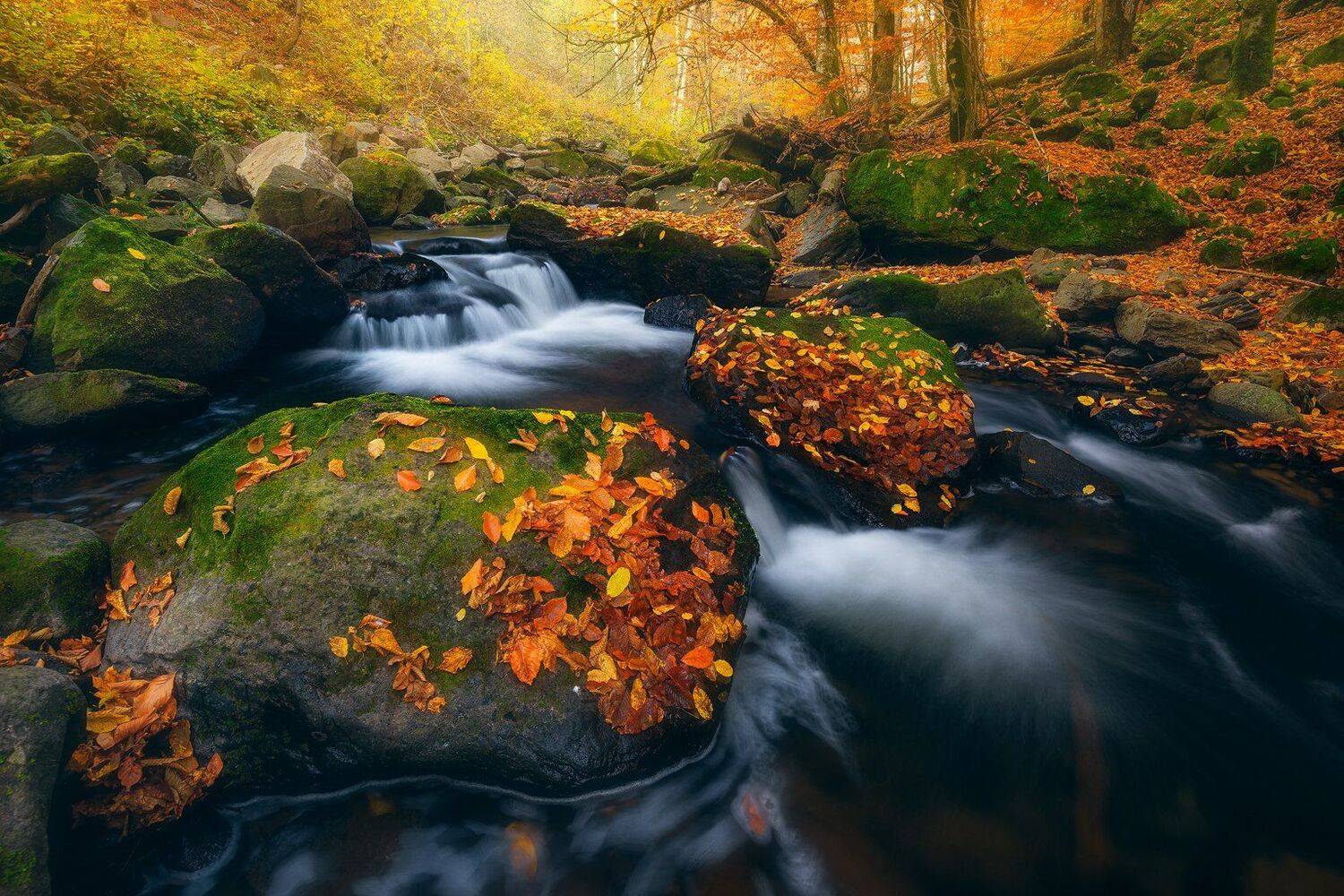 , Szabo Zsolt Andras