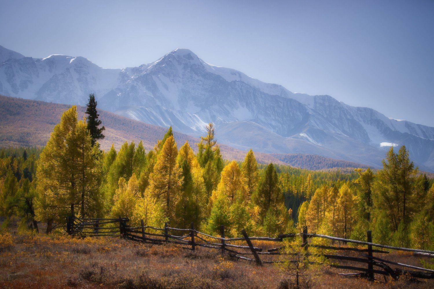 алтай, горы, куркурек, Владимир Ляпин