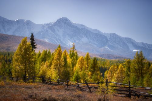 Алтайским днем