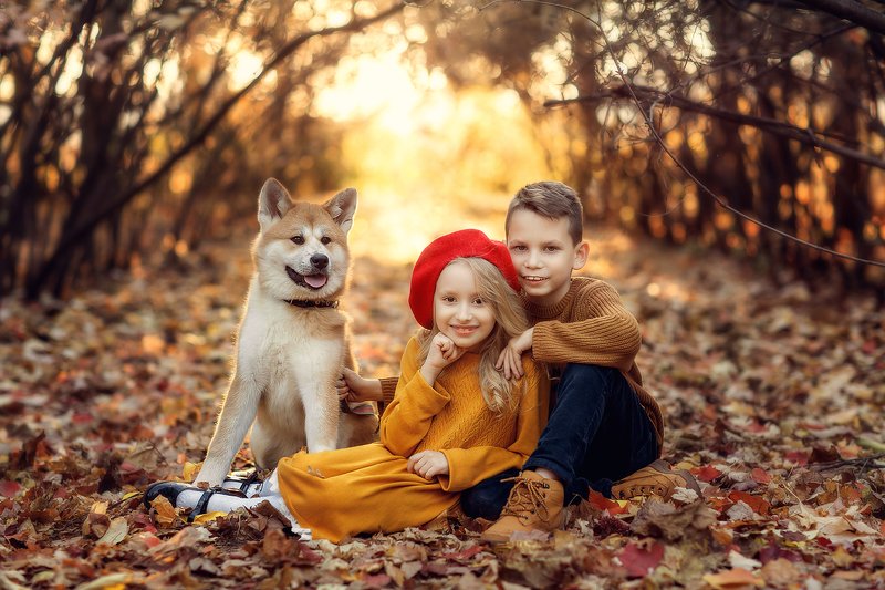 фото превью