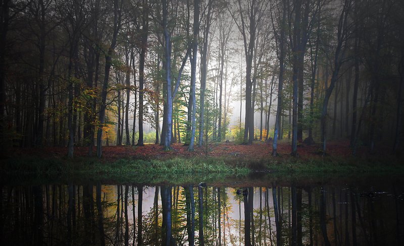 ... фото превью