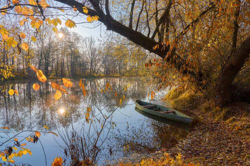 Солнечное утро