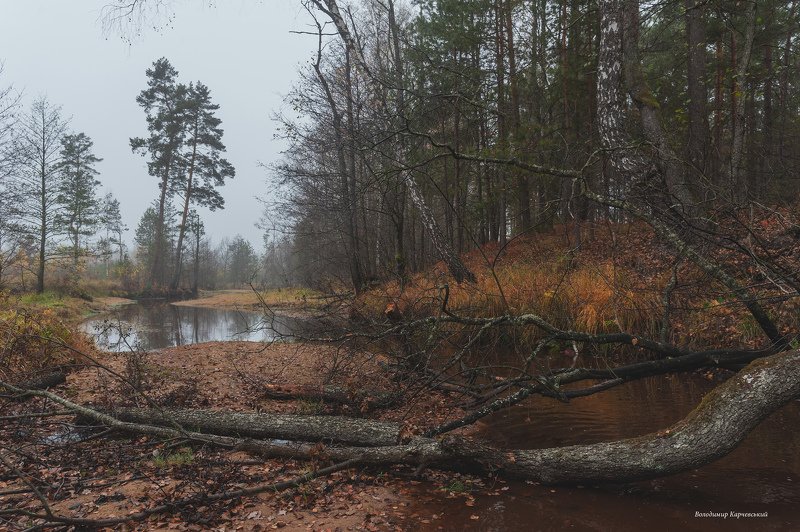 Поздняя осень на р.Бобер фото превью