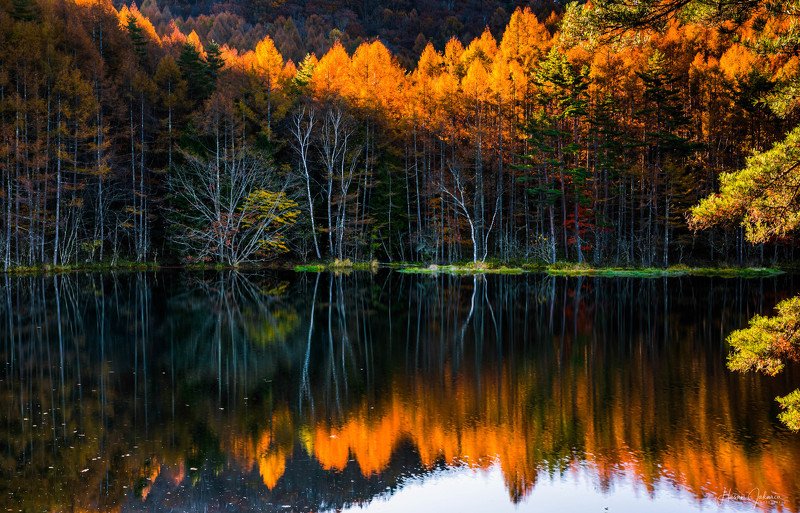 nature landscape japan mountain morning nagano autumn colors [ A Mirror in Nature ] фото превью