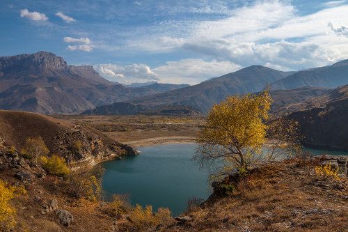 У горного озера