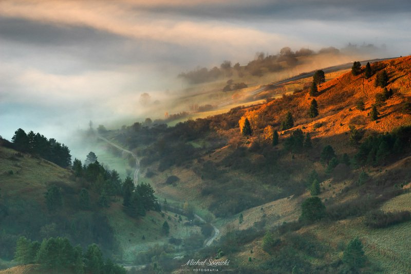 Foggy morning... фото превью