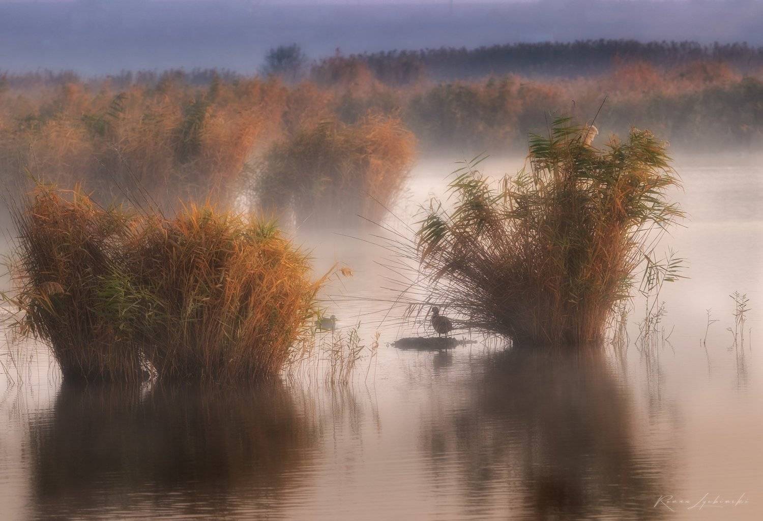 крым, пейзаж, феодосия, утро, Роман Любимский
