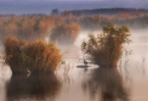 Их было 2е на рассвете 