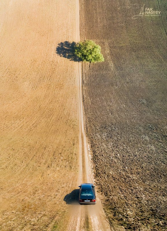 Rural Inception фото превью