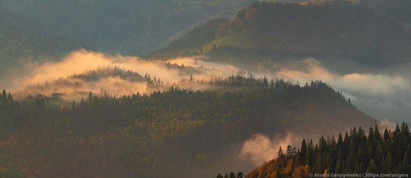 outdoors, mountain, scenics, nature, tree, no people, landscape, tranquil, scene, cloud, beauty in nature, fog, sky, sunset, sun, sunlight, fall, pine, foggy, misty, autumn, wood, environment, outdoor, green, forest, dawn, hill, mysterious, natural, seaso Misty Mountains. Fog over forests and hills in Carpathian Mountains, Ukraine фото превью