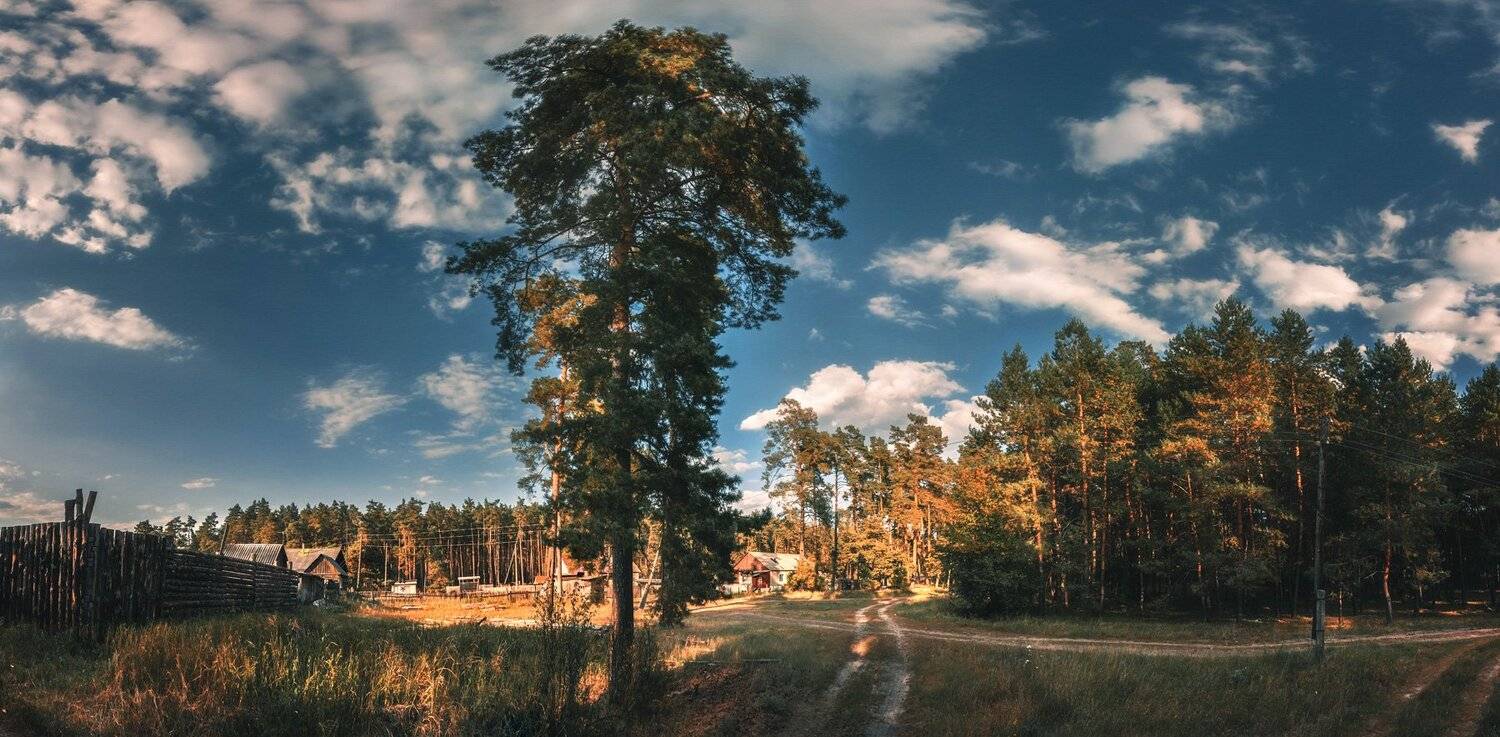 панорама, осень, лес, деревня, Андрей Кровлин