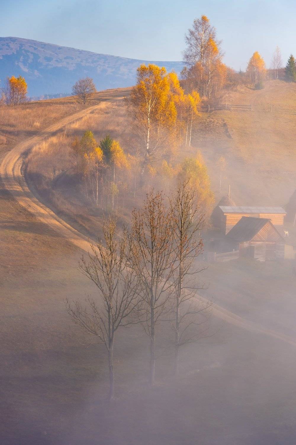 карпаты., осень., туман, Татьяна Степанова