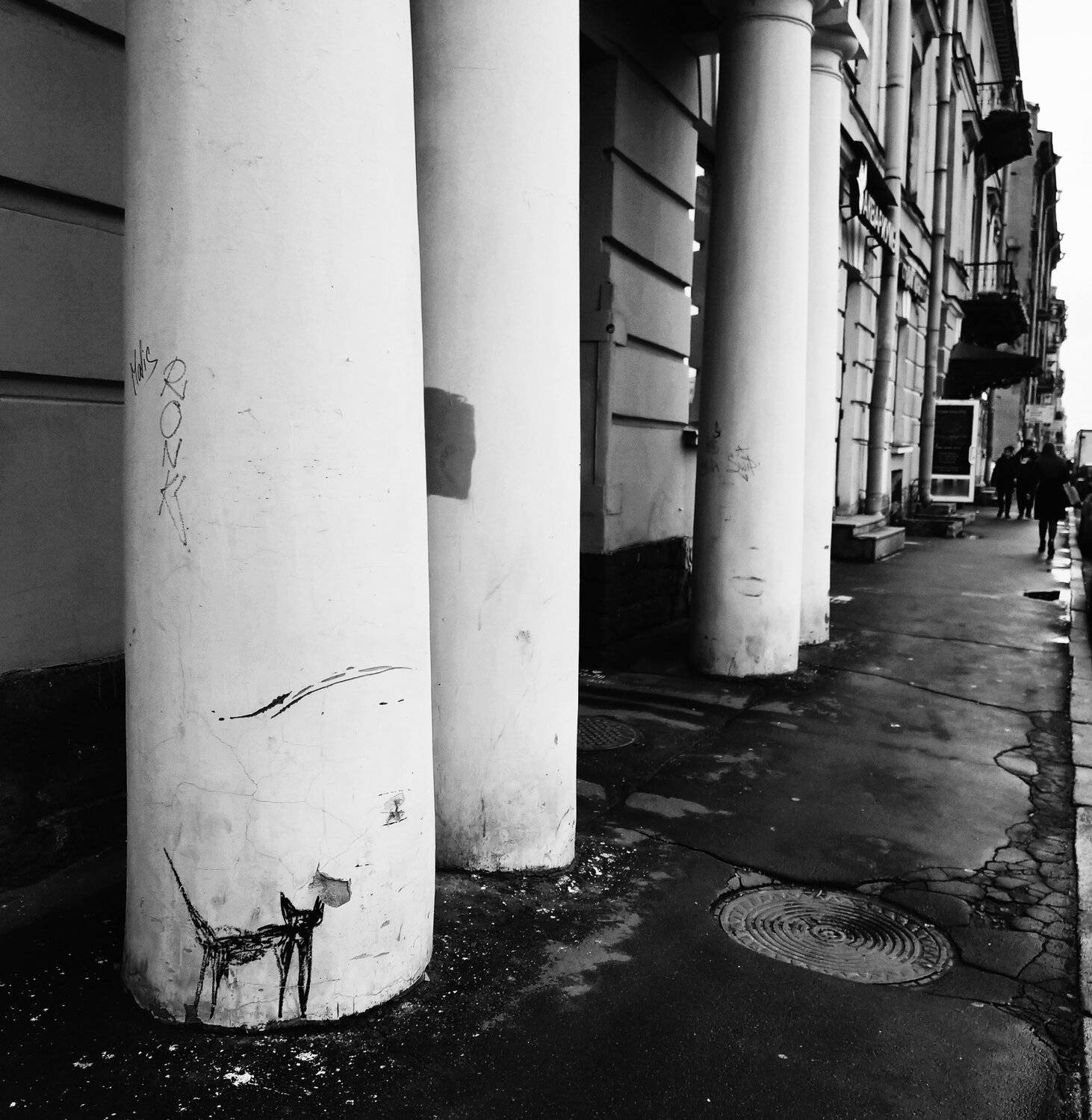 кот, город, СПБ, malhova, Зоя Малхова